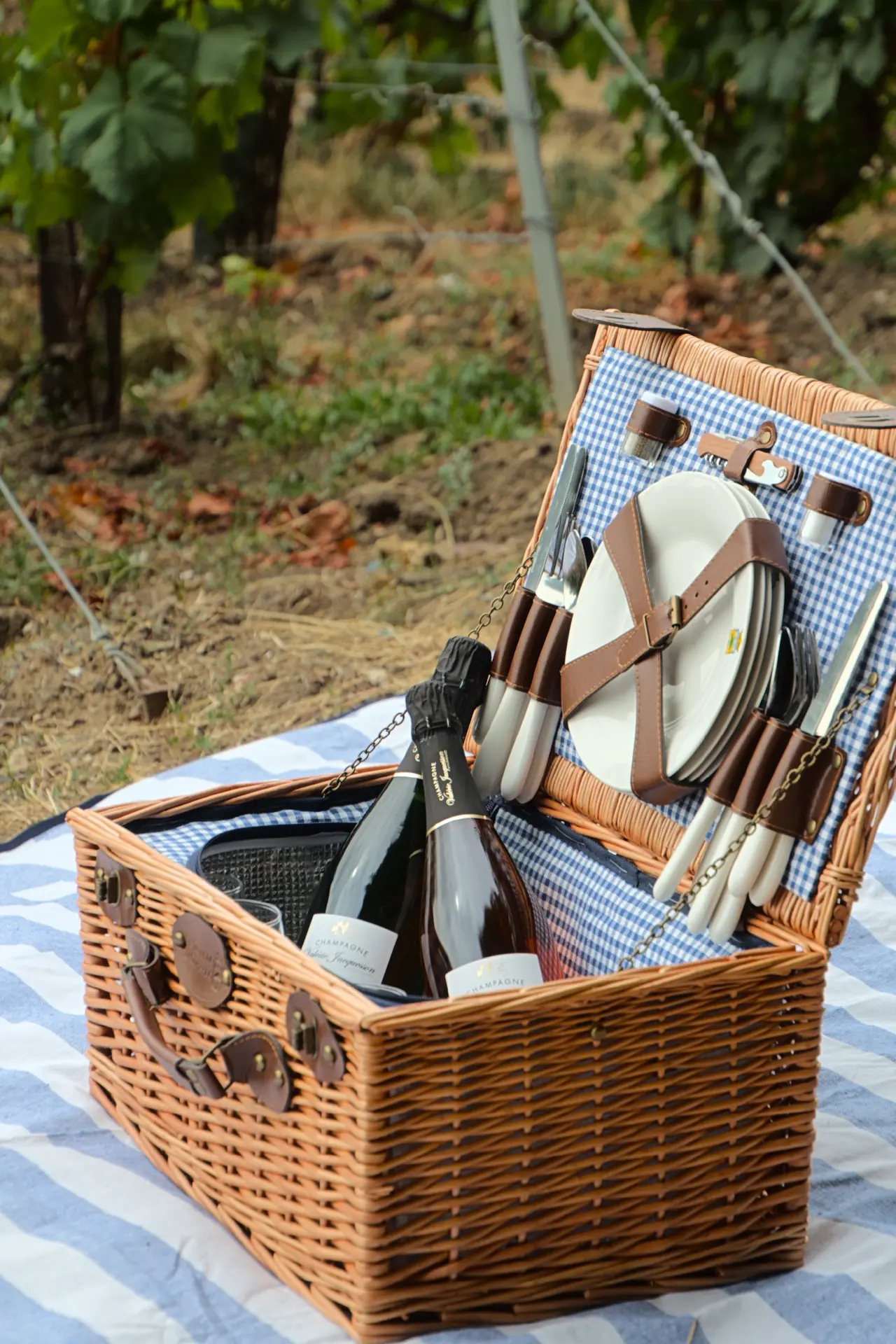 Un panier de pique-nique en osier, ouvert, avec une bouteille et des couverts, posé sur une nappe bleue devant les vignes